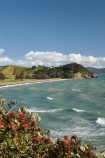 bay;coast;coastal;coastline;coastlines;coasts;Coromandel;Coromandel-Peninsula;flower;flowers;foreshore;metrosideros-excelsa;N.I.;N.Z.;New-Zealand;NI;North-Is;North-Is.;North-Island;NZ;ocean;plant;plants;pohutakawa;pohutakawas;pohutukawa;pohutukawa-flower;pohutukawa-flowers;pohutukawa-tree;pohutukawa-trees;pohutukawas;sea;shore;shoreline;shorelines;shores;Te-Kawau-Point;tree;trees;Waiaro;Waikato;water