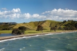 agricultural;agriculture;bay;coast;coastal;coastline;coastlines;coasts;Coromandel;Coromandel-Peninsula;country;countryside;farm;farming;farmland;farms;field;fields;foreshore;meadow;meadows;N.I.;N.Z.;New-Zealand;NI;North-Is;North-Is.;North-Island;NZ;ocean;paddock;paddocks;pasture;pastures;rural;sea;shore;shoreline;shorelines;shores;Waiaro;Waikato;water