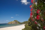 beach;beaches;coast;coastal;coastline;Coromandel;Coromandel-Peninsula;crimson-flower;cromson-flowers;flower;flowers;metrosideros-excelsa;N.I.;N.Z.;New-Chums-Beach;New-Zealand;NI;North-Is;North-Is.;North-Island;NZ;ocean;oceans;plant;plants;pohutakawa;pohutakawas;pohutukawa;pohutukawa-flower;pohutukawa-flowers;pohutukawa-tree;pohutukawa-trees;pohutukawas;red-flower;red-flowers;sand;sandy;sea;seas;shore;shoreline;summer;tree;trees;Waikato