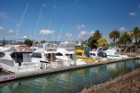 boat;boats;calm;calmness;Coromandel;Coromandel-Peninsula;fishing-boats;harbor;harbors;harbour;harbours;launch;launches;marina;marinas;N.I.;N.Z.;New-Zealand;NI;North-Is;North-Is.;North-Island;NZ;port;ports;sail;sailing;still;stillness;Waikato;Whitianga;Whitianga-Marina;yacht;yachts