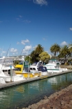 boat;boats;calm;calmness;Coromandel;Coromandel-Peninsula;fishing-boats;harbor;harbors;harbour;harbours;launch;launches;marina;marinas;N.I.;N.Z.;New-Zealand;NI;North-Is;North-Is.;North-Island;NZ;port;ports;sail;sailing;still;stillness;Waikato;Whitianga;Whitianga-Marina;yacht;yachts