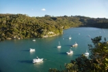 Back-Bay;boat;boats;Coromandel;Coromandel-Peninsula;cruise;cruises;fishing-boat;fishing-boats;launch;launches;mooring;N.I.;N.Z.;New-Zealand;NI;North-Is;North-Is.;North-Island;NZ;pleasure-boat;pleasure-boats;speed-boat;speed-boats;tour-boat;tour-boats;tourism;tourist;tourist-boat;tourist-boats;Waikato;water;Whitianga;Whitianga-Harbor;Whitianga-Harbour