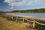 beach;beaches;coast;coastal;coastline;Coromandel;Coromandel-Peninsula;N.I.;N.Z.;New-Zealand;NI;North-Is;North-Is.;North-Island;NZ;ocean;oceans;sand;sandy;sea;seas;shore;shoreline;surf;Waikato;wave;waves;Whangamata
