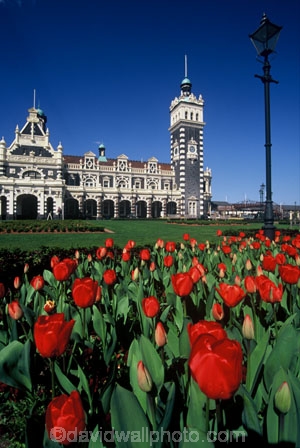 red;tulip;tulips;flower;flowers;flowerbed;historic;history;historical;garden;gardens;scarlet;architecture;rail;railway-station