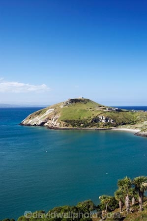 coast;coastal;coastline;coastlines;coasts;Dunedin;harbor;harbors;harbour;harbours;N.Z.;New-Zealand;NZ;ocean;oceans;Otago;Otago-Harbour;Otago-Peninsula;Pilots-Beach;S.I.;sea;shore;shoreline;shorelines;shores;SI;South-Is.;South-Island;Taiaroa-Head;Taiaroa-Head-Albatross-Colony;water