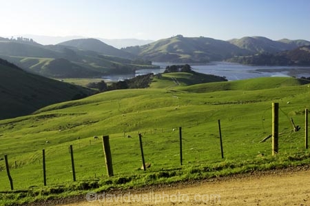 agricultural;agriculture;country;countryside;Dunedin;farm;farming;farmland;farms;fence;fence-line;fence-lines;fence_line;fence_lines;fenceline;fencelines;fences;field;fields;Hoopers-Inlet;meadow;meadows;N.Z.;New-Zealand;NZ;Otago;Otago-Peninsula;paddock;paddocks;pasture;pastures;rural;S.I.;SI;South-Is.;South-Island