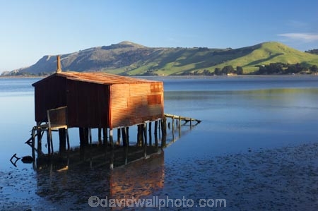 Boat-Shed;boat-sheds;boatshed;boatsheds;calm;corrugated-iron;corrugated-metal;corrugated-steel;Dunedin;estuaries;estuary;Hoopers-Inlet;inlet;inlets;lagoon;lagoons;N.Z.;New-Zealand;NZ;Otago;Otago-Peninsula;placid;quiet;reflection;reflections;roofing-iron;S.I.;serene;SI;smooth;South-Is.;South-Island;still;tidal;tide;tranquil;water