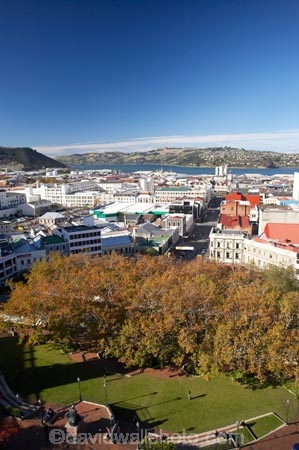 autuminal;autumn;autumn-colour;autumn-colours;autumnal;City-Centre;color;colors;colour;colours;deciduous;Dunedin;fall;N.Z.;New-Zealand;NZ;Ocatgon;Regent-Theatre;Robbie-Burns-Statue;Robert-Burns-Statue;S.I.;season;seasonal;seasons;SI;South-Is.;South-Island;The-Octagon;tree;trees