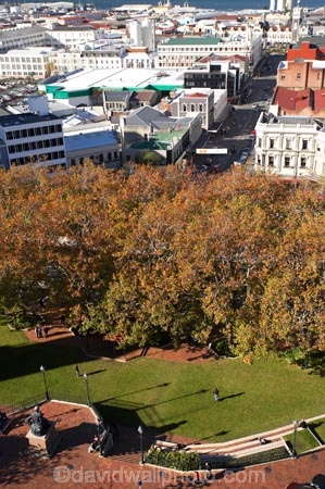 autuminal;autumn;autumn-colour;autumn-colours;autumnal;City-Centre;color;colors;colour;colours;deciduous;Dunedin;fall;N.Z.;New-Zealand;NZ;Ocatgon;Robbie-Burns-Statue;Robert-Burns-Statue;S.I.;season;seasonal;seasons;SI;South-Is.;South-Island;The-Octagon;tree;trees
