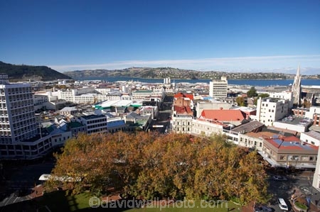 autuminal;autumn;autumn-colour;autumn-colours;autumnal;City-Centre;color;colors;colour;colours;deciduous;Dunedin;fall;First-Church;N.Z.;New-Zealand;NZ;Ocatgon;Regent-Theatre;S.I.;season;seasonal;seasons;SI;South-Is.;South-Island;The-Octagon;tree;trees
