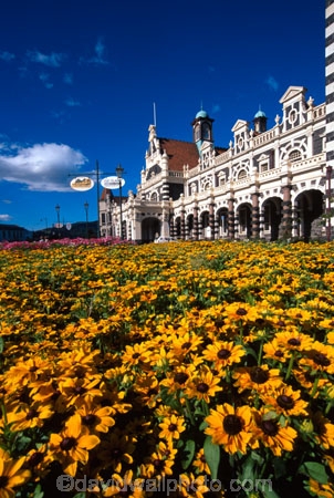 architect;architecture;basalt;clock;Dunedins-motto-secundo-curo;Flemish-Renaissance-style;floor-panels;George-A-Troup;Gingerbread-George;historic;historical;history;i-prosper-and-am-cautious;limestone;mosaic-tiles;motto;New-Zealand-Railways;red-marseille-tiles;secundo-curo;tower;towers