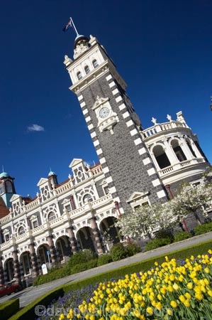 1906;architecture;bloom;blooming;blooms;building;buildings;clock;clock-tower;clock-towers;council-gardens;Dunedin;Dunedin-Railway-Station;Flemish-Renaissance-style;floral;flower;flower-bed;flower-beds;flower-garden;flower-gardens;flowers;fresh;garden;gardens;George-A-Troup;Gingerbread-George;grow;growth;heritage;Historic;historic-building;historic-buildings;historical;historical-building;historical-buildings;history;N.Z.;New-Zealand;NZ;old;Otago;rail-station;rail-stations;railway;railway-station;railway-stations;railways;renew;S.I.;season;seasonal;seasons;SI;South-Is.;South-Island;spring;Spring-Flowers;springtime;tradition;traditional;train-station;train-stations;tulip;tulips