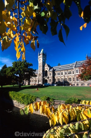 learn;student;historic;building;buildings;historical;leith;stream;lawn;clock;tower;education;learning;students;scarfies;campus;registry;degree;autumn;fall