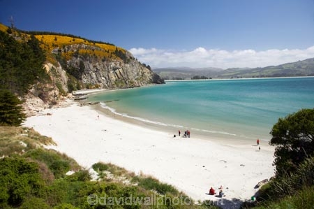 beach;beaches;coast;coastal;coastline;coastlines;coasts;Doctors-Point;Doctors-Point;Dunedin;families;family;foreshore;Historic-Maori-Pa-Site;Mapoutahi;N.Z.;New-Zealand;NZ;ocean;oceans;Otago;purakanui;Purakaunui;sand;sandy;sea;seas;shore;shoreline;shorelines;shores;South-Is;South-Is.;South-Island;summer;summertime;water