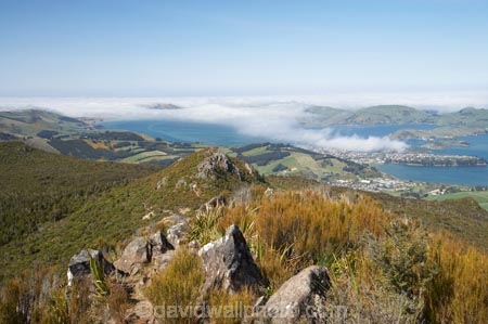 cloud;clouds;cloudy;Dunedin;fogg;foggy;fogs;mist;mists;misty;Mount-Cargill;Mt-Cargill;Mt.-Cargill;N.Z.;New-Zealand;NZ;Otago;Otago-Harbor;Otago-Harbour;Otago-Peninsula;port-chalmers;South-Is;South-Is.;South-Island;View;views;volcanic;volcano