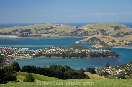 Dunedin;N.Z.;New-Zealand;NZ;Otago;Otago-Harbor;Otago-Harbour;Otago-Peninsula;S.I.;SI;South-Is;South-Island