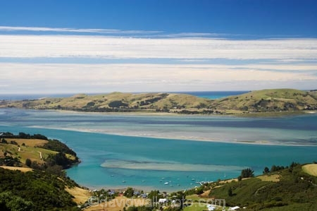 Deborah-Bay;Dunedin;N.Z.;New-Zealand;NZ;Otago;Otago-Harbor;Otago-Harbour;Otago-Peninsula;S.I.;SI;South-Is.;South-Island