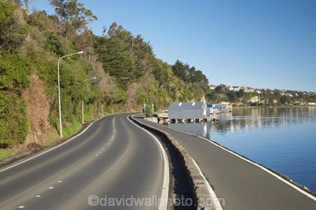 bend;bends;calm;centre-line;centre-lines;centre_line;centre_lines;centreline;centrelines;corner;corners;curve;curves;cycle-track;cycle-tracks;cycle-way;cycle-ways;cycle_way;cycle_ways;cycleway;cycleways;driving;Dunedin;N.Z.;New-Zealand;NZ;Otago;Otago-Harbor;Otago-Harbour;Otago-Peninsula;placid;Portobello-Road;quiet;reflection;reflections;road;road-trip;roads;S.I.;serene;SI;smooth;South-Is.;South-Island;still;tranquil;transport;transportation;travel;traveling;travelling;trip;water