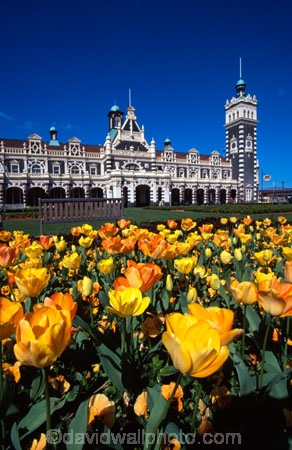 architecture;architect;Gingerbread-George;George-A-Troup;New-Zealand-Railways;Flemish-Renaissance-style;basalt;limestone;red-marseille-tiles;tower;towers;clock;Dunedins-moto-secundo-curo;Dunedins-Motto;secundo-curo;i-prosper-and-am-cautious;floor-panels;mosaic-tiles;historic;historical;history