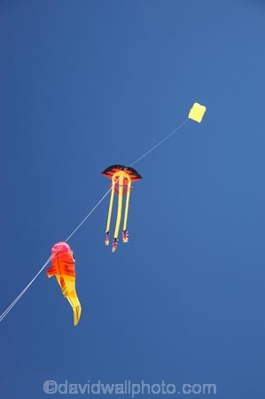 breeze;breezy;color;colorful;colour;colourful;Dunedin;fish-kite;Fish-Kites;fly;flying;Jellyfish-Kite;Jellyfish-Kites;kite;kite-festival;kite-flying;kites;N.Z.;New-Zealand;NZ;Otago;red;S.I.;SI;skies;sky;South-Is.;South-Island;wind;wind-sock;wind-socks;wind_sock;wind_socks;windsock;windsocks;windy;yellow