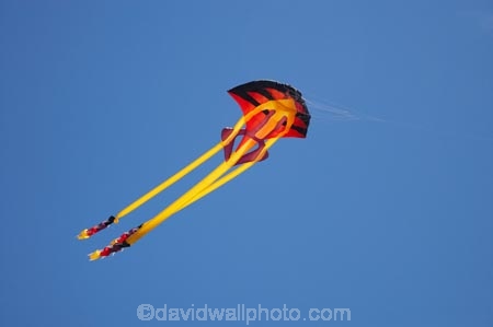 breeze;breezy;color;colorful;colour;colourful;Dunedin;fish-kite;fish-kites;fly;flying;Jellyfish-Kite;Jellyfish-Kites;kite;kite-festival;kite-flying;kites;N.Z.;New-Zealand;NZ;Otago;red;S.I.;SI;skies;sky;South-Is.;South-Island;wind;wind-sock;wind-socks;wind_sock;wind_socks;windsock;windsocks;windy;yellow