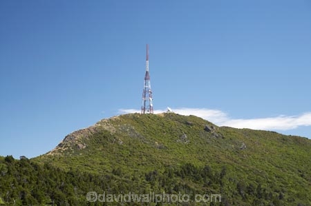 cell-tower;cellnet;communication;communication-network;communication-networks;communications;Dunedin;mobile;Mount-Cargill;Mt-Cargill;Mt.-Cargill;N.Z.;New-Zealand;NZ;Otago;radio-mast;radio-masts;radio-tower;radio-towers;S.I.;satelite-dish;satelite-dishes;SI;signal;signals;South-Is;South-Is.;South-Island;telecommunication-mast;telecommunication-masts;telecommunication-tower;telecommunication-towers;telecommunications-mast;telecommunications-masts;telecommunications-tower;telecommunications-towers;telephone;television-mast;television-masts;television-tower;television-towers;television-transmitters;tower;towers;transmision;transmitter;tv-transmitter