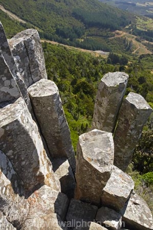 basalt-column;basalt-columns;basalt-formation;basalt-formations;columnar-jointed-basalt;Dunedin;formations;geological;geology;Mount-Cargill;Mount-Holmes;Mt-Cargill;Mt-Holmes;Mt.-Cargill;Mt.-Holmes;N.Z.;New-Zealand;NZ;Otago;rock;rock-column;rock-columns;rock-formation;rock-formations;rock-outcrop;rock-outcrops;rock-tor;rock-torr;rock-torrs;rock-tors;rocks;S.I.;SI;South-Is;South-Island;stone;The-Organ-Pipes;volcanic-column;volcanic-columns;volcanic-formation;volcanic-formations;volcanic-rock
