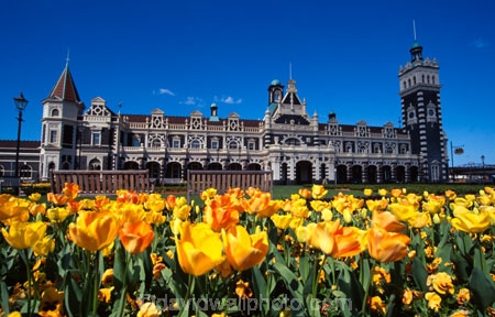 architecture;architect;Gingerbread-George;George-A-Troup;New-Zealand-Railways;Flemish-Renaissance-style;basalt;limestone;red-marseille-tiles;tower;towers;clock;Dunedins-moto-secundo-curo;Dunedins-Motto;secundo-curo;i-prosper-and-am-cautious;floor-panels;mosaic-tiles;historic;historical;history;flower;flowers;flowerbed;tulip;tulips