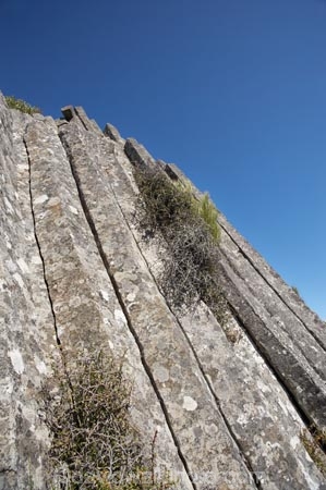 basalt-column;basalt-columns;basalt-formation;basalt-formations;columnar-jointed-basalt;Dunedin;formations;geological;geology;Mount-Cargill;Mount-Holmes;Mt-Cargill;Mt-Holmes;Mt.-Cargill;Mt.-Holmes;N.Z.;New-Zealand;NZ;Otago;rock;rock-column;rock-columns;rock-formation;rock-formations;rock-outcrop;rock-outcrops;rock-tor;rock-torr;rock-torrs;rock-tors;rocks;S.I.;SI;South-Is;South-Island;stone;The-Organ-Pipes;volcanic-column;volcanic-columns;volcanic-formation;volcanic-formations;volcanic-rock