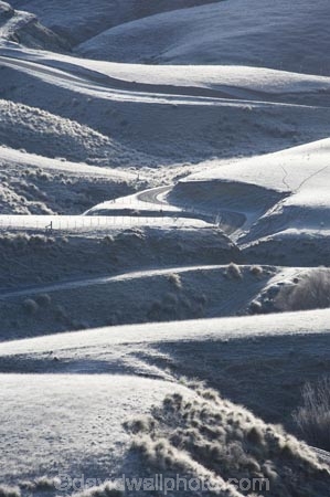 agricultural;agriculture;cold;country;countryside;farm;farming;farmland;farms;field;fields;freeze;freezing;frost;frosts;frosty;hard-frost;ice;icy;Lee-Stream;meadow;meadows;N.Z.;New-Zealand;NZ;Otago;paddock;paddocks;pasture;pastures;rural;S.I.;season;seasonal;seasons;SI;South-Is.;South-Island;Strath-Taieri;white;winter;wintery