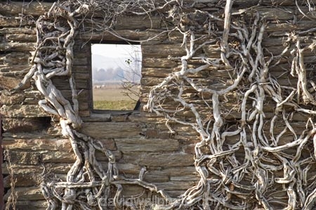 abandon;abandoned;building;buildings;castaway;character;climbing-plant;climbing-plants;derelict;derelict-stone-building;dereliction;deserted;desolate;desolation;destruction;heritage;historic;historic-building;historic-buildings;historical;historical-building;historical-buildings;history;Middlemarch;N.Z.;neglect;neglected;New-Zealand;NZ;old;old-fashioned;old_fashioned;Otago;ruin;ruins;run-down;rustic;S.I.;SI;South-Is.;South-Island;Strath-Taieri;tradition;traditional;vintage