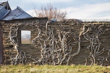 abandon;abandoned;building;buildings;castaway;character;climbing-plant;climbing-plants;derelict;derelict-stone-building;dereliction;deserted;desolate;desolation;destruction;heritage;historic;historic-building;historic-buildings;historical;historical-building;historical-buildings;history;Middlemarch;N.Z.;neglect;neglected;New-Zealand;NZ;old;old-fashioned;old_fashioned;Otago;ruin;ruins;run-down;rustic;S.I.;SI;South-Is.;South-Island;Strath-Taieri;tradition;traditional;vintage