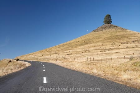 centre-line;centre-lines;centre_line;centre_lines;centreline;centrelines;driving;highway;highways;Middlemarch;N.Z.;New-Zealand;NZ;open-road;open-roads;Otago;road;road-trip;roads;S.I.;SI;Smooth-Cone;South-Is.;South-Island;Strath-Taieri;transport;transportation;travel;traveling;travelling;trip