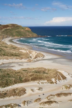 beach;beaches;coast;coastal;coastline;coastlines;coasts;dune;Dunedin;dunes;foreshore;N.Z.;New-Zealand;NZ;ocean;oceans;Otago;Otago-Peninsula;S.I.;sand;sand-dune;sand-dunes;sand-hill;sand-hills;sand_dune;sand_dunes;sand_hill;sand_hills;sanddune;sanddunes;Sandfly-Bay;Sandfly-Bay-Wildlife-Refuge;sandhill;sandhills;sandy;sea;seas;shore;shoreline;shorelines;shores;SI;South-Is.;South-Island;surf;water;wave;waves