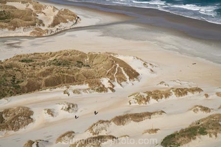 beach;beaches;coast;coastal;coastline;dune;Dunedin;dunes;N.Z.;New-Zealand;NZ;ocean;Otago;Otago-Peninsula;S.I.;sand;sand-dune;sand-dunes;sand-hill;sand-hills;sand_dune;sand_dunes;sand_hill;sand_hills;sanddune;sanddunes;Sandfly-Bay;Sandfly-Bay-Wildlife-Refuge;sandhill;sandhills;sandy;shore;shoreline;SI;South-Is.;South-Island