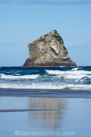 beach;beaches;calm;coast;coastal;coastline;coastlines;coasts;Dunedin;foreshore;Gull-Rocks;Lion-Rock;Lions-Head-Rock;N.Z.;New-Zealand;NZ;ocean;oceans;Otago;Otago-Peninsula;placid;quiet;reflection;reflections;S.I.;sand;Sandfly-Bay;sandy;sea;seas;serene;shore;shoreline;shorelines;shores;SI;smooth;South-Is.;South-Island;still;surf;tranquil;water;wave;waves