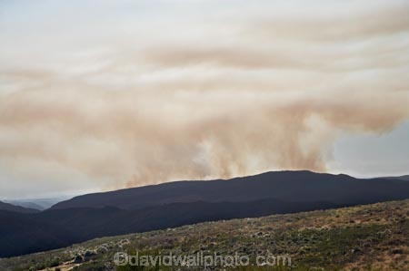 air-pollutants;air-pollution;air-polutants;air-quality;airshed;airsheds;atmosphere;bad-air-quality;bush-fire;bush-fires;carbon-emission;carbon-emissions;carbon-footprint;Dunedin;emission;emissions;emit;environment;fire;fires;Flagstaff;global-warming;greenhouse-gas;greenhouse-gases;high-pollution-day;high-pollution-days;N.Z.;New-Zealand;NZ;Otago;pollute;polluting;pollution;poor-air-quality;S.I.;Scrub-Fire;SI;Silver-Peaks;smog;smoggy;smoke;smokey;South-Is.;South-Island