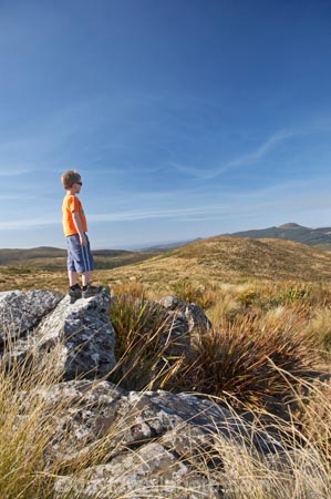 above-the-snowline;altitude;boy;boys;child;children;Dunedin;Flagstaff;highland;highlands;hike;hiker;hikers;hiking;hiking-track;hiking-tracks;kid;kids;little-boy;little-boys;N.Z.;New-Zealand;NZ;Otago;Pineapple-Flagstaff-Track;Pineapple-Track;S.I.;SI;snowlines;South-Is.;South-Island;tramp;tramper;trampers;tramping;tramping-tack;tramping-tracks;trek;treker;trekers;treking;trekker;trekkers;trekking;tussock;tussocks;walk;walker;walkers;walking;walking-track;walking-tracks