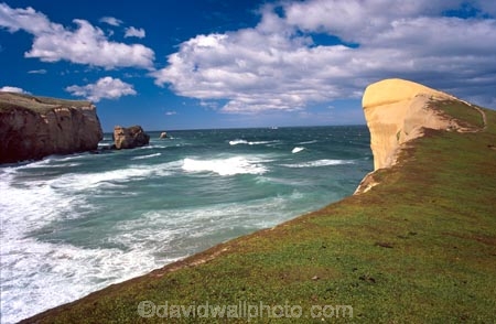 coast;coastal;coastline;outcrop;spectacular;dramatic;limestone;track;tunnels;sea_carved;sea-carved;sea;ocean;sandstone;cliff;cliffs;John-Cargill;1870s;public;walkway;path