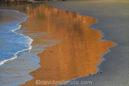 beach;beaches;calm;coast;coastal;coastline;Dunedin;N.Z.;New-Zealand;NZ;ocean;oceans;Otago;Otago-Peninsula;Penguin-Place;Pipikaretu-Beach;placid;quiet;reflection;reflections;S.I.;sand;sandy;sea;seas;serene;shore;shoreline;SI;smooth;South-Is;South-Island;Sth-Is;still;tranquil;water;wave;waves