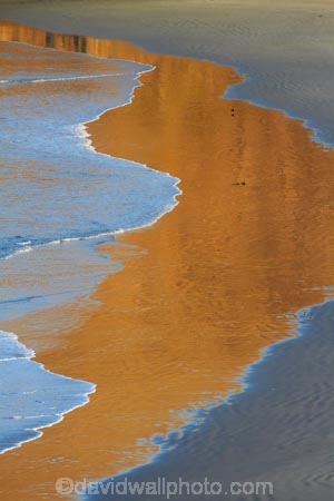 beach;beaches;calm;coast;coastal;coastline;Dunedin;N.Z.;New-Zealand;NZ;ocean;oceans;Otago;Otago-Peninsula;Penguin-Place;Pipikaretu-Beach;placid;quiet;reflection;reflections;S.I.;sand;sandy;sea;seas;serene;shore;shoreline;SI;smooth;South-Is;South-Island;Sth-Is;still;tranquil;water;wave;waves