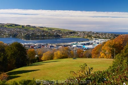 autuminal;autumn;autumn-colour;autumn-colours;autumnal;color;colors;colour;colours;deciduous;Dunedin;fall;harbor;harbours;leaf;leaves;N.Z.;New-Zealand;NZ;Otago;Otago-Harbor;Otago-Harbour;Otago-Peninsula;S.I.;season;seasonal;seasons;SI;South-Is;South-Island;Sth-Is;tree;trees;Unity-Park