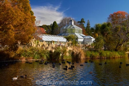 autuminal;autumn;autumn-colour;autumn-colours;autumn-tree;autumn-trees;autumnal;Botanic-Garden;Botanic-Gardens;Botanical-Garden;Botanical-Gardens;calm;city-garden;city-gardens;color;colors;colour;colours;council-garden;council-gardens;deciduous;duck-pond;duck-ponds;Dunedin;Dunedin-Botanic-Garden;Dunedin-Botanic-Gardens;Dunedin-Botanical-Garden;Dunedin-Botanical-Gardens;Dunedin-Gardens;fall;garden;gardens;glass-house;glass-houses;glasshouse;glasshouses;leaf;leaves;N.Z.;New-Zealand;North-Dunedin;NZ;Otago;placid;plant;plants;pond;ponds;quiet;reflection;reflections;S.I.;season;seasonal;seasons;serene;SI;smooth;South-Is;South-Is.;South-Island;Sth-Is;still;tranquil;tree;trees;water