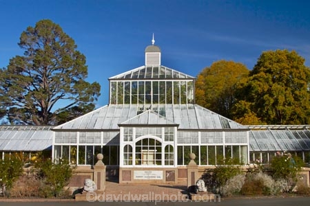 autuminal;autumn;autumn-colour;autumn-colours;autumnal;Botanic-Garden;Botanic-Gardens;Botanical-Garden;Botanical-Gardens;city-garden;city-gardens;color;colors;colour;colours;council-garden;council-gardens;deciduous;Dunedin;Dunedin-Botanic-Garden;Dunedin-Botanic-Gardens;Dunedin-Botanical-Garden;Dunedin-Botanical-Gardens;Dunedin-Gardens;fall;garden;gardens;glass-house;glass-houses;glasshouse;glasshouses;leaf;leaves;N.Z.;New-Zealand;North-Dunedin;NZ;Otago;plant;plants;S.I.;season;seasonal;seasons;SI;South-Is;South-Is.;South-Island;Sth-Is;tree;trees