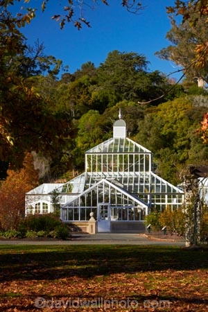 autuminal;autumn;autumn-colour;autumn-colours;autumn-tree;autumn-trees;autumnal;Botanic-Garden;Botanic-Gardens;Botanical-Garden;Botanical-Gardens;city-garden;city-gardens;color;colors;colour;colours;council-garden;council-gardens;deciduous;Dunedin;Dunedin-Botanic-Garden;Dunedin-Botanic-Gardens;Dunedin-Botanical-Garden;Dunedin-Botanical-Gardens;Dunedin-Gardens;fall;garden;gardens;glass-house;glass-houses;glasshouse;glasshouses;leaf;leaves;N.Z.;New-Zealand;North-Dunedin;NZ;Otago;plant;plants;S.I.;season;seasonal;seasons;SI;South-Is;South-Is.;South-Island;Sth-Is;tree;trees