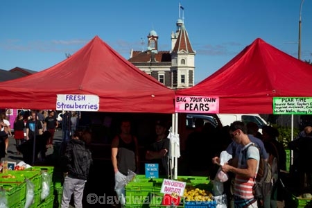 colorful;colour;colourful;commerce;commercial;Dunedin;Dunedin-Railway-Station;farmers-market;farmers-markets;food;food-market;food-markets;food-stall;food-stalls;fruit;fruit-and-vegetables;fruit-market;fruit-markets;gathering;Historic-Railway-Station;market;market-place;market_place;marketplace;markets;N.Z.;New-Zealand;NZ;Otago;Otago-Farmers-Market;pedestrians;people;person;produce;produce-market;produce-markets;product;products;Railway-Station;retail;retailer;retailers;S.I.;shop;shopper;shoppers;shopping;shops;SI;South-Is;South-Island;stall;stalls;steet-scene;Sth-Is;street-scenes