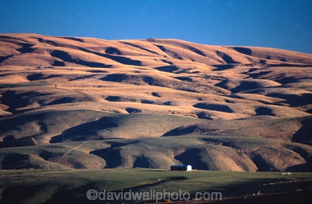 range;ranges;hills;hill;undulate;undulating;rural;pastoral;farmland;landscape;cultivated;rolling;farm;farmed;Taieri-Plains;Taieri