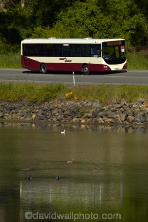 bus;buses;calm;coach;coaches;cruise-ship-bus;cruise-ship-buses;Dunedin;motorbus;motorbuses;N.Z.;New-Zealand;NZ;omnibus;omnibuses;Otago;Otago-Harbour;passenger-bus;passenger-buses;passenger-coach;passenger-coaches;passenger-transport;placid;Port-Chalmers;PT;Pt-Chalmers;public-transport;public-transportation;quiet;Ravensbourne-Rd;Ravensbourne-Road;reflected;reflection;reflections;S.I.;serene;SI;smooth;South-Is;South-Is.;South-Island;St-Leonards;Sth-Is;still;street-scene;street-scenes;tour-bus;tour-buses;tourist-bus;tourist-buses;tranquil;transportation;water