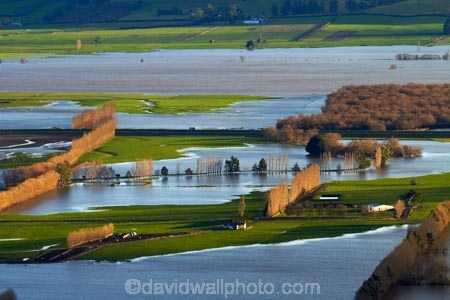 agricultural;agriculture;Allanton;bad-weather;country;countryside;crop;crops;deluge;Dunedin;extreme-weather;farm;farming;farmland;farms;field;fields;flood;flood-water;flood-waters;flooded-Taieri-River;flooding;floods;floodwater;floodwaters;high-water;horticulture;inundate;meadow;meadows;Mosgiel;N.Z.;New-Zealand;NZ;on-flood;Otago;paddock;paddocks;pasture;pastures;river;rivers;rural;S.I.;shelter-belt;shelter-belts;shelter_belt;shelter_belts;shelterbelt;shelterbelts;SI;South-Is;South-Is.;South-Island;Sth-Is;swollen-river;Taieri;Taieri-Plain;Taieri-Plains;Taieri-River;Taieri-River-in-flood;water;weather;wet;wind-break;wind-breaks;wind_break;wind_breaks;windbreak;windbreaks;winter;wintery