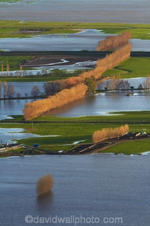 agricultural;agriculture;Allanton;bad-weather;country;countryside;crop;crops;deluge;Dunedin;extreme-weather;farm;farming;farmland;farms;field;fields;flood;flood-water;flood-waters;flooded-Taieri-River;flooding;floods;floodwater;floodwaters;high-water;horticulture;inundate;meadow;meadows;Mosgiel;N.Z.;New-Zealand;NZ;on-flood;Otago;paddock;paddocks;pasture;pastures;river;rivers;rural;S.I.;shelter-belt;shelter-belts;shelter_belt;shelter_belts;shelterbelt;shelterbelts;SI;South-Is;South-Is.;South-Island;Sth-Is;swollen-river;Taieri;Taieri-Plain;Taieri-Plains;Taieri-River;Taieri-River-in-flood;water;weather;wet;wind-break;wind-breaks;wind_break;wind_breaks;windbreak;windbreaks;winter;wintery
